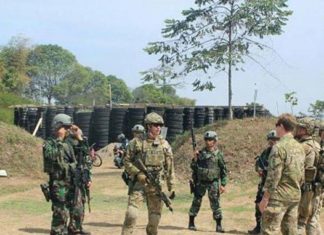 Dawn Komodo 2015 Dawn Komodo 2015