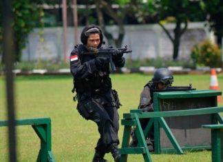 Tontaikam Brigade Infanteri-1 Pengamanan Ibu Kota/Jaya Sakti Tontaikam Brigade Infanteri-1 Pengamanan Ibu Kota/Jaya Sakti (Brigif-1 PIK/JS) kepunyaan Kodam Jaya/Jayakarta.
