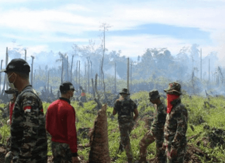 Foto-Foto Aksi Tim Ekspedisi NKRI Padamkan Kebakaran Hutan