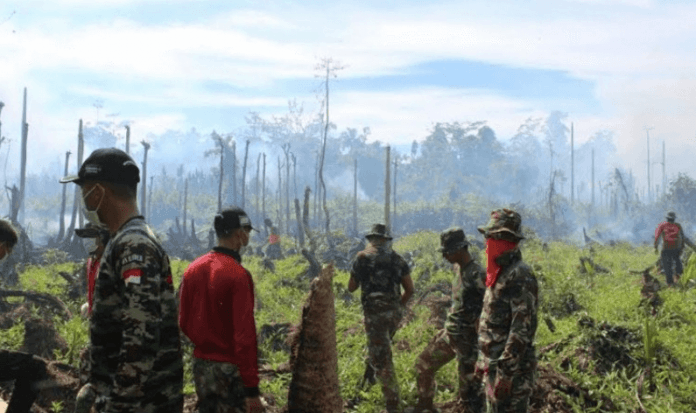 Foto-Foto Aksi Tim Ekspedisi NKRI Padamkan Kebakaran Hutan