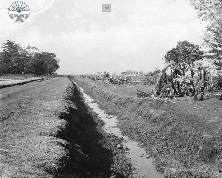 Foto latihan gabungan TNI 1969: Mortir berat 120mm