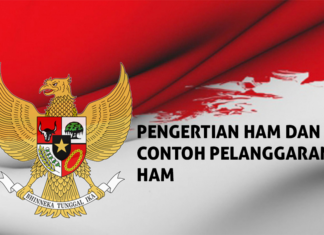 Berbagai Pengertian HAM Hingga Contoh Pelanggarannya Pengertian HAM dan Contoh Pelanggaran HAM
