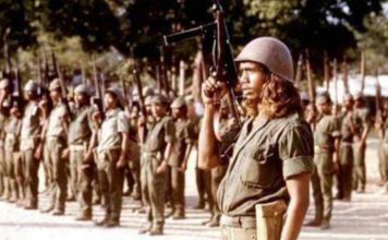 Persenjataan Fretilin Dimasa Awal Operasi Seroja